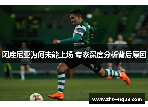 阿库尼亚为何未能上场 专家深度分析背后原因